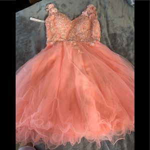 Prom dress